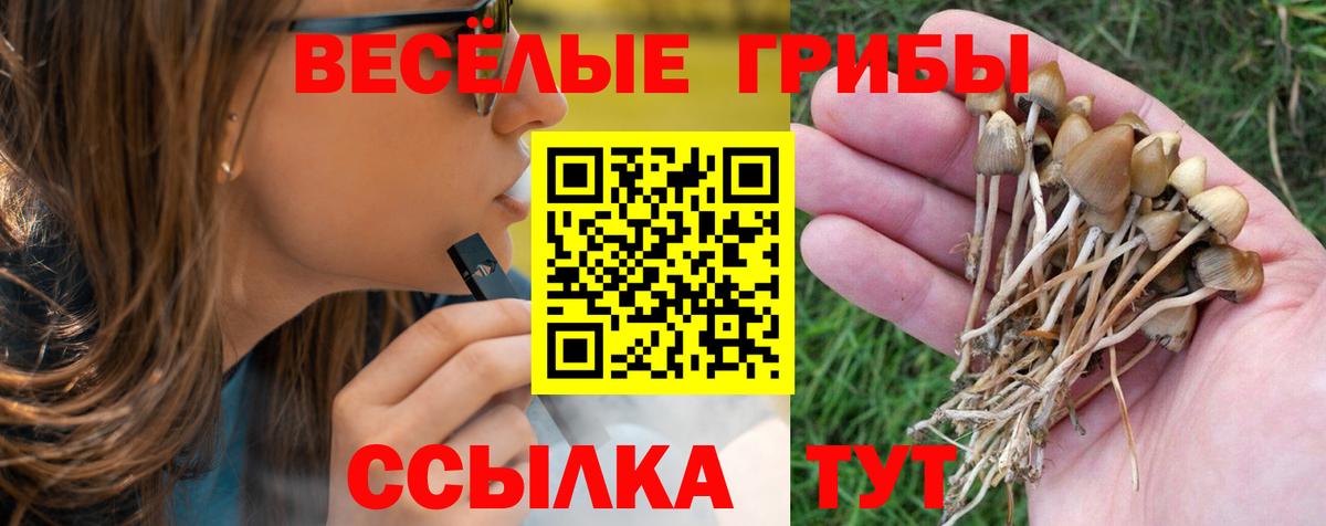 Ангарск  Псилоцибиновые грибы Psilocybine cubensis  Вход с VPN 